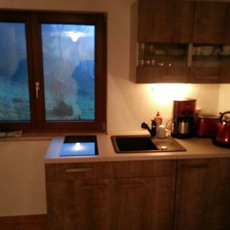 Ferienhaus Moosbachtal Thueringer Wald Bei Oberhof Rotterode Εξωτερικό φωτογραφία