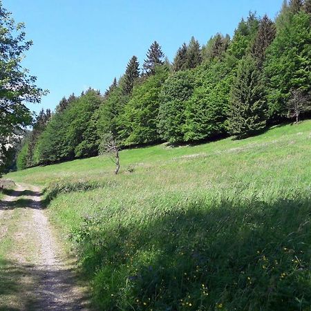 Ferienhaus Moosbachtal Thueringer Wald Bei Oberhof Rotterode Εξωτερικό φωτογραφία