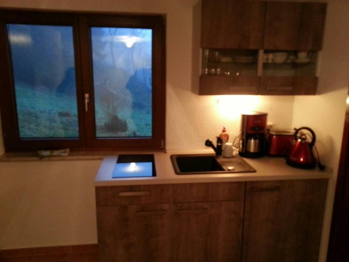 Ferienhaus Moosbachtal Thueringer Wald Bei Oberhof Rotterode Εξωτερικό φωτογραφία
