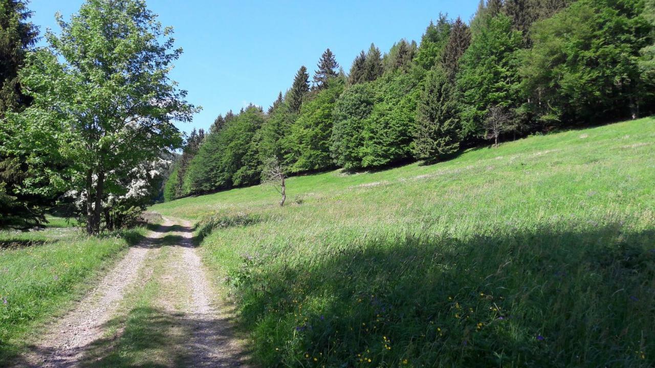 Ferienhaus Moosbachtal Thueringer Wald Bei Oberhof Rotterode Εξωτερικό φωτογραφία